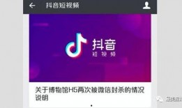 视频爆料入口在哪里看,一探究竟，轻松获取最新资讯